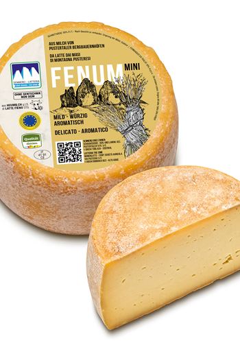 Fenum mini