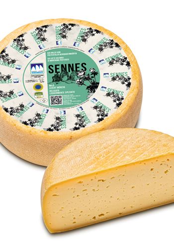 Sennes