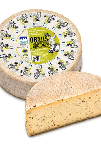 Ortus